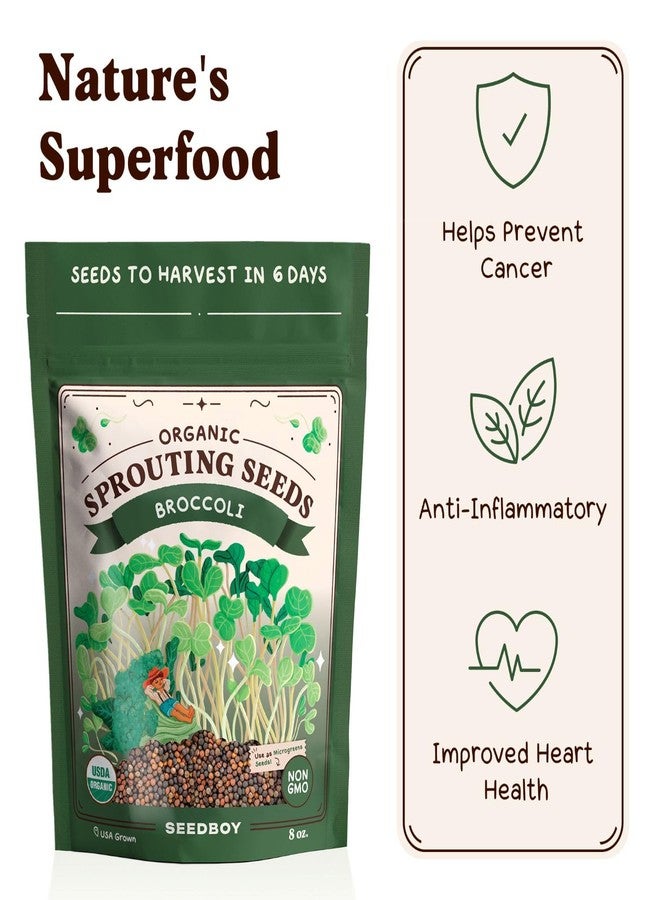 Seedboy Organic Non-GMO Broccoli Seeds for Sprouting - USA Grown Microgreens Sprouting Seeds - 8 oz Bag Makes 8 Quarts / 24 Servings (Di Cicco Broccoli) - Image 4